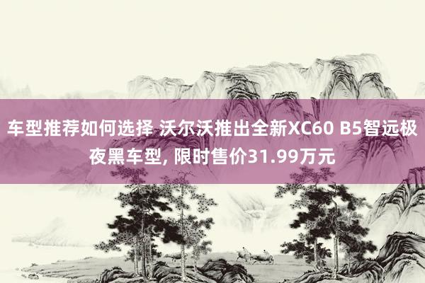 车型推荐如何选择 沃尔沃推出全新XC60 B5智远极夜黑车型, 限时售价31.99万元