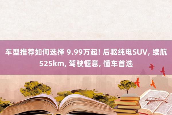 车型推荐如何选择 9.99万起! 后驱纯电SUV, 续航525km, 驾驶惬意, 懂车首选