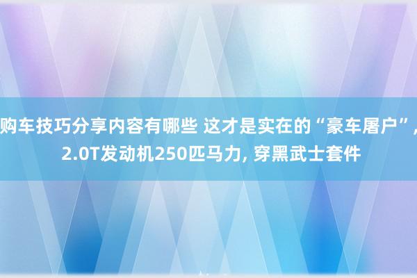 购车技巧分享内容有哪些 这才是实在的“豪车屠户”, 2.0T发动机250匹马力, 穿黑武士套件