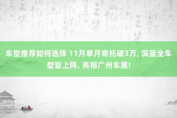 车型推荐如何选择 11月单月寄托破3万, 深蓝全车型皆上阵, 亮相广州车展!