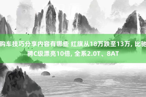 购车技巧分享内容有哪些 红旗从18万跌至13万, 比驰骋C级漂亮10倍, 全系2.0T、8AT