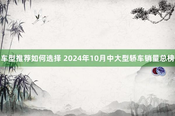 车型推荐如何选择 2024年10月中大型轿车销量总榜