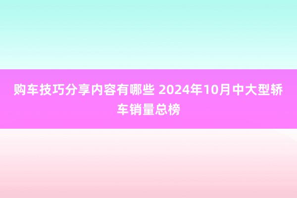 购车技巧分享内容有哪些 2024年10月中大型轿车销量总榜