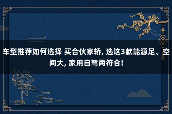 车型推荐如何选择 买合伙家轿, 选这3款能源足、空间大, 家用自驾两符合!