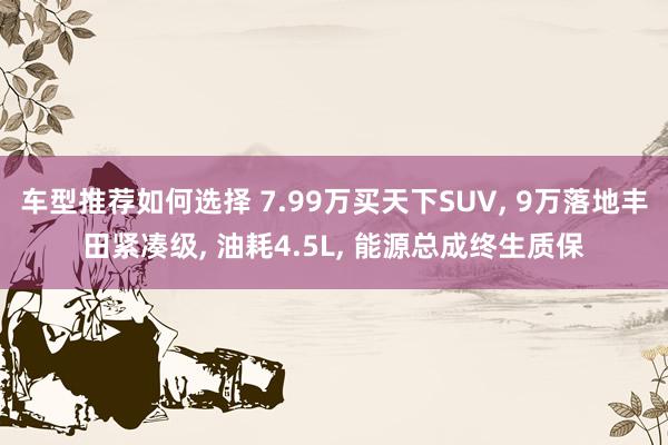 车型推荐如何选择 7.99万买天下SUV, 9万落地丰田紧凑级, 油耗4.5L, 能源总成终生质保