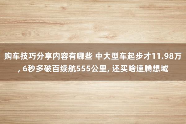 购车技巧分享内容有哪些 中大型车起步才11.98万, 6秒多破百续航555公里, 还买啥速腾想域