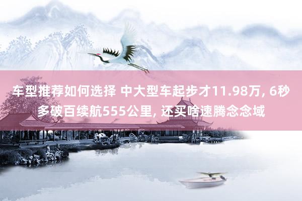 车型推荐如何选择 中大型车起步才11.98万, 6秒多破百续航555公里, 还买啥速腾念念域