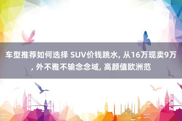 车型推荐如何选择 SUV价钱跳水, 从16万现卖9万, 外不雅不输念念域, 高颜值欧洲范