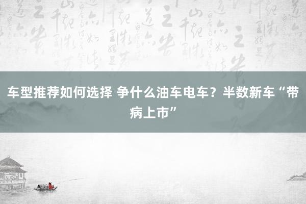 车型推荐如何选择 争什么油车电车？半数新车“带病上市”