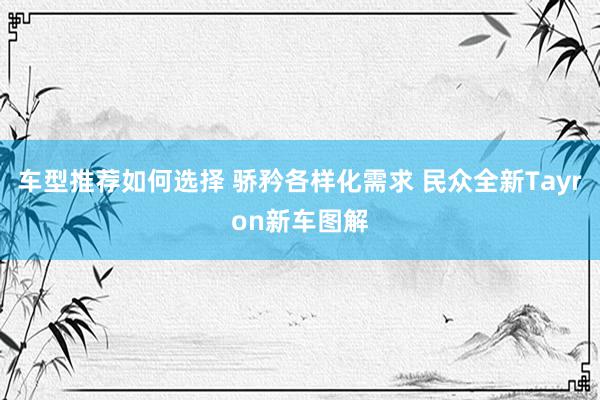 车型推荐如何选择 骄矜各样化需求 民众全新Tayron新车图解