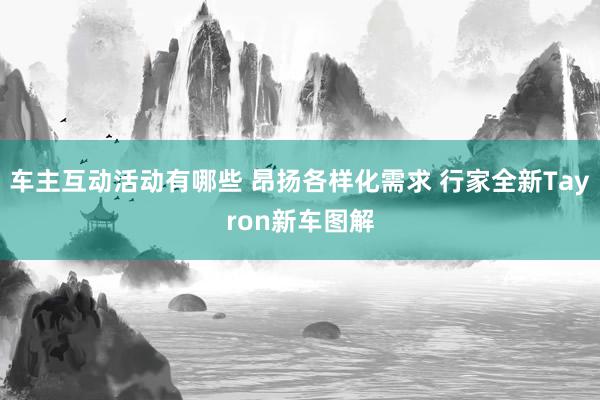 车主互动活动有哪些 昂扬各样化需求 行家全新Tayron新车图解