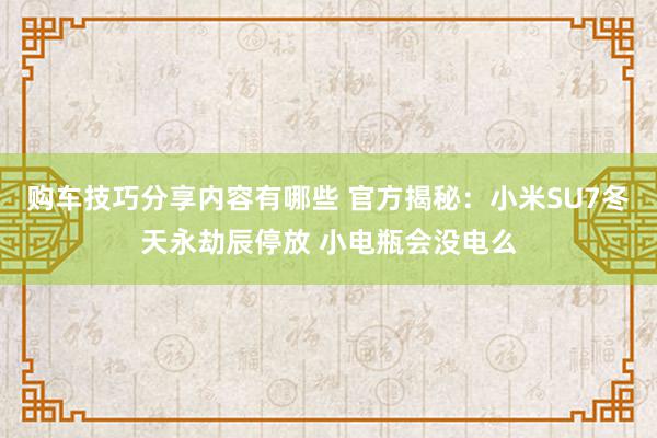 购车技巧分享内容有哪些 官方揭秘：小米SU7冬天永劫辰停放 小电瓶会没电么