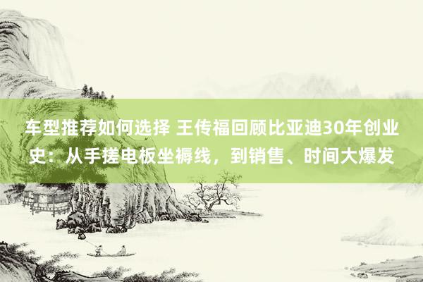 车型推荐如何选择 王传福回顾比亚迪30年创业史：从手搓电板坐褥线，到销售、时间大爆发