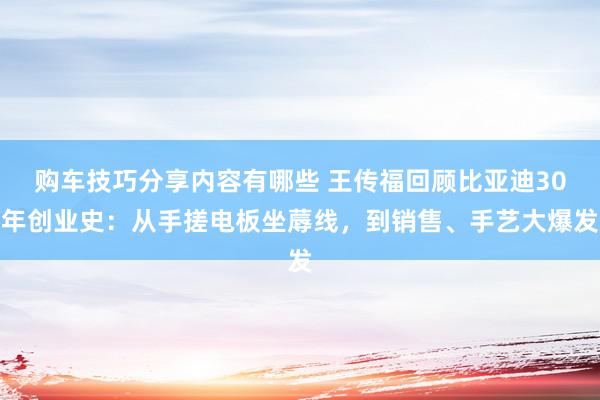 购车技巧分享内容有哪些 王传福回顾比亚迪30年创业史：从手搓电板坐蓐线，到销售、手艺大爆发