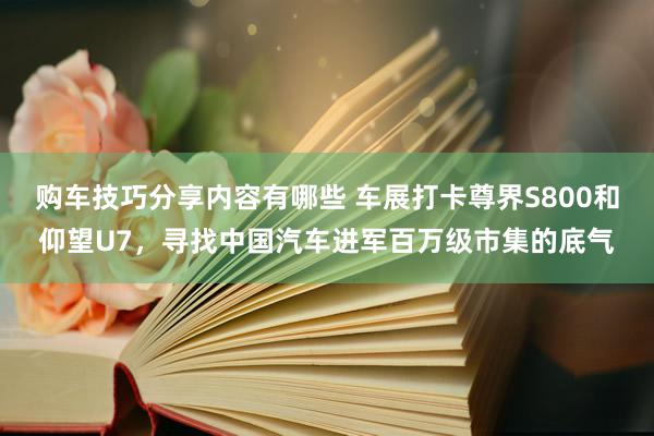 购车技巧分享内容有哪些 车展打卡尊界S800和仰望U7，寻找中国汽车进军百万级市集的底气