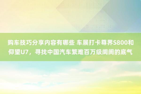 购车技巧分享内容有哪些 车展打卡尊界S800和仰望U7，寻找中国汽车繁难百万级阛阓的底气