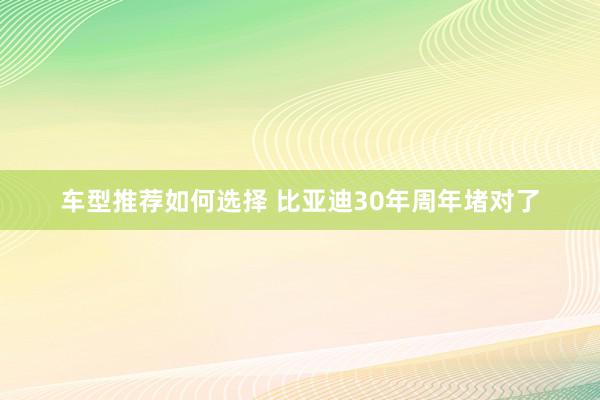 车型推荐如何选择 比亚迪30年周年堵对了