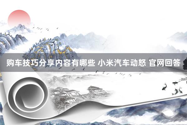 购车技巧分享内容有哪些 小米汽车动怒 官网回答