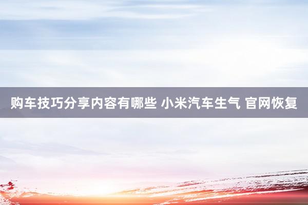 购车技巧分享内容有哪些 小米汽车生气 官网恢复