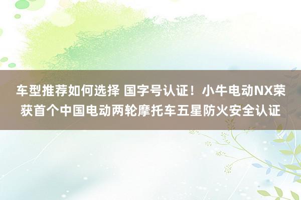 车型推荐如何选择 国字号认证！小牛电动NX荣获首个中国电动两轮摩托车五星防火安全认证