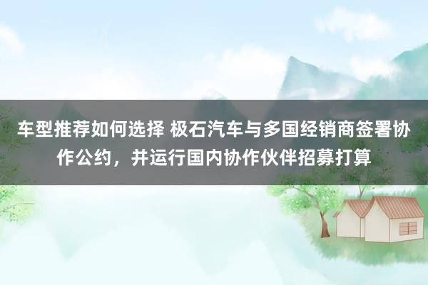 车型推荐如何选择 极石汽车与多国经销商签署协作公约，并运行国内协作伙伴招募打算