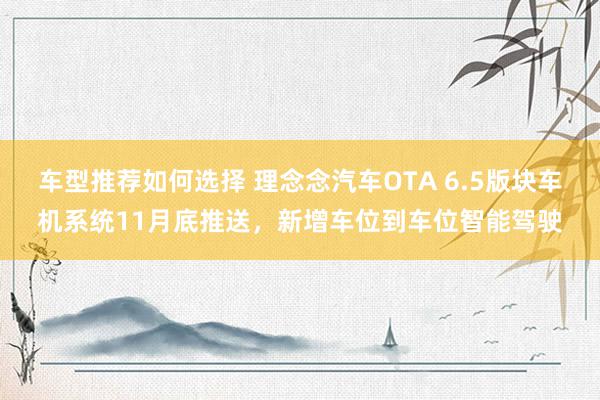 车型推荐如何选择 理念念汽车OTA 6.5版块车机系统11月底推送，新增车位到车位智能驾驶