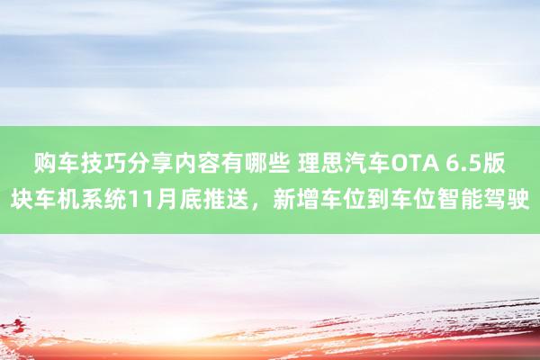 购车技巧分享内容有哪些 理思汽车OTA 6.5版块车机系统11月底推送，新增车位到车位智能驾驶