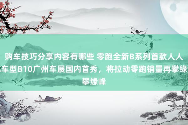 购车技巧分享内容有哪些 零跑全新B系列首款人人化车型B10广州车展国内首秀，将拉动零跑销量再攀缘峰