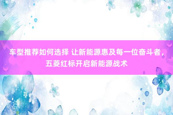 车型推荐如何选择 让新能源惠及每一位奋斗者，五菱红标开启新能源战术