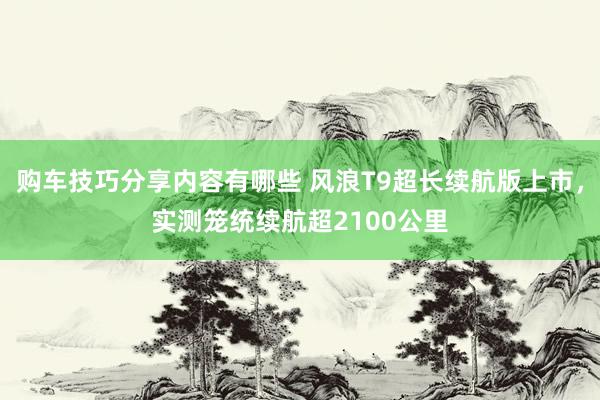 购车技巧分享内容有哪些 风浪T9超长续航版上市，实测笼统续航超2100公里