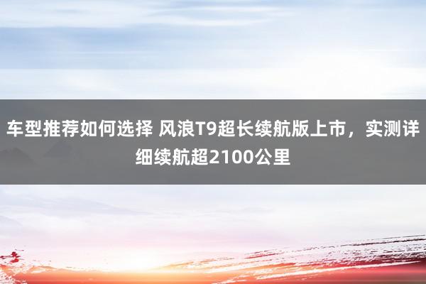 车型推荐如何选择 风浪T9超长续航版上市，实测详细续航超2100公里