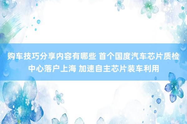 购车技巧分享内容有哪些 首个国度汽车芯片质检中心落户上海 加速自主芯片装车利用