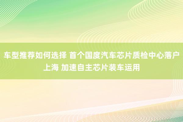 车型推荐如何选择 首个国度汽车芯片质检中心落户上海 加速自主芯片装车运用