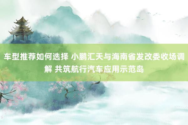 车型推荐如何选择 小鹏汇天与海南省发改委收场调解 共筑航行汽车应用示范岛