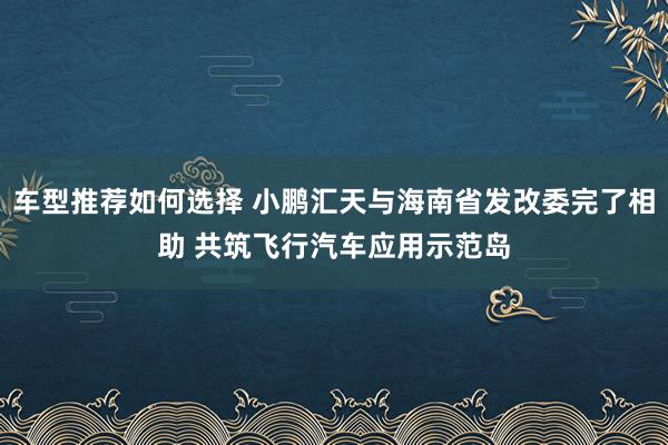 车型推荐如何选择 小鹏汇天与海南省发改委完了相助 共筑飞行汽车应用示范岛