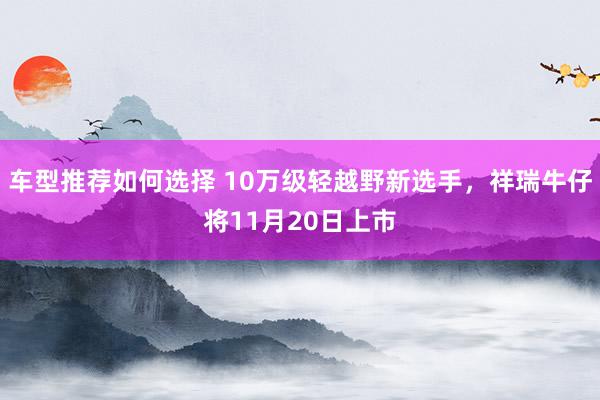 车型推荐如何选择 10万级轻越野新选手，祥瑞牛仔将11月20日上市