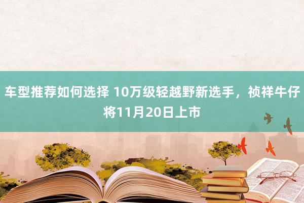 车型推荐如何选择 10万级轻越野新选手，祯祥牛仔将11月20日上市