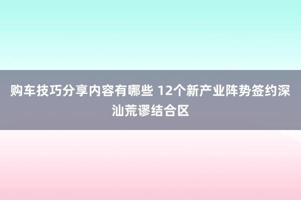 购车技巧分享内容有哪些 12个新产业阵势签约深汕荒谬结合区