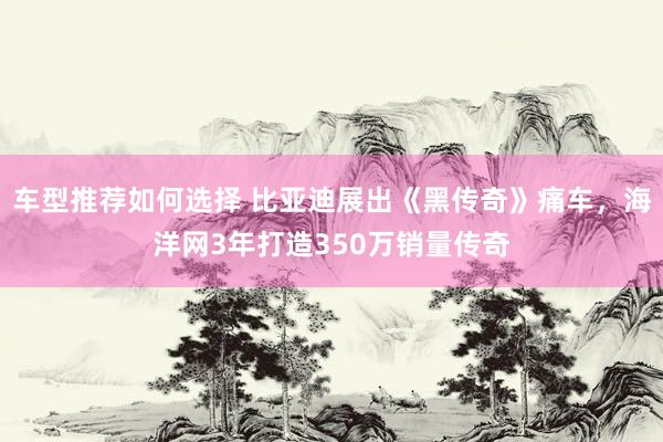 车型推荐如何选择 比亚迪展出《黑传奇》痛车，海洋网3年打造350万销量传奇